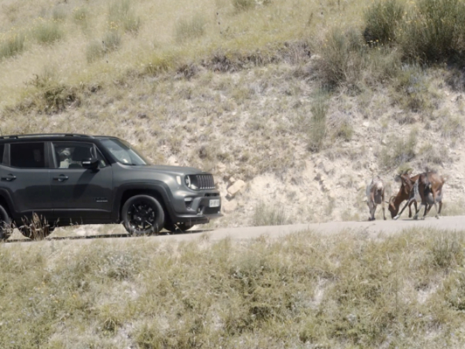 PointS-Tyres film 30s